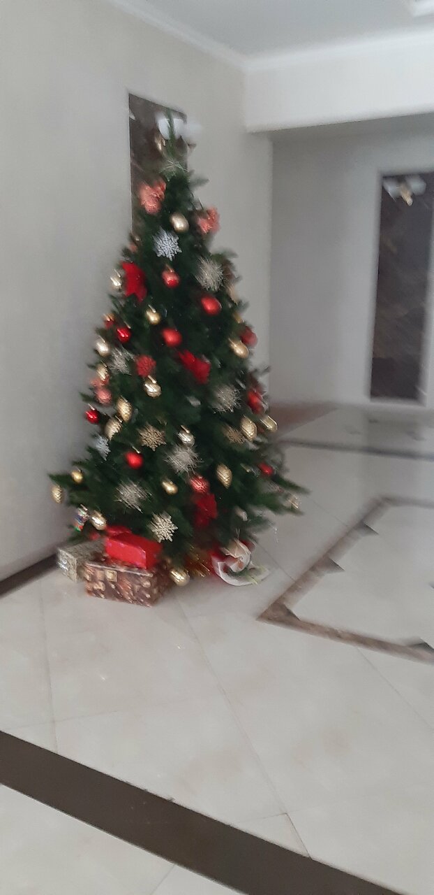 Гостиница Губернская Калуга-230